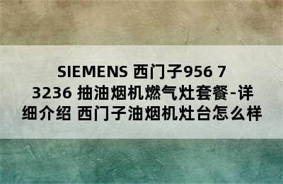 SIEMENS 西门子956+73236 抽油烟机燃气灶套餐-详细介绍 西门子油烟机灶台怎么样